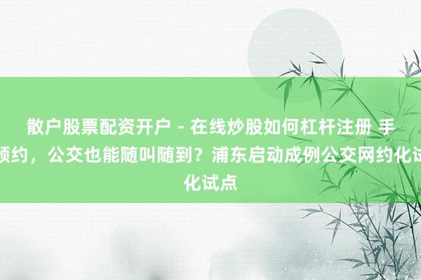 散户股票配资开户 - 在线炒股如何杠杆注册 手机预约，公交也能随叫随到？浦东启动成例公交网约化试点
