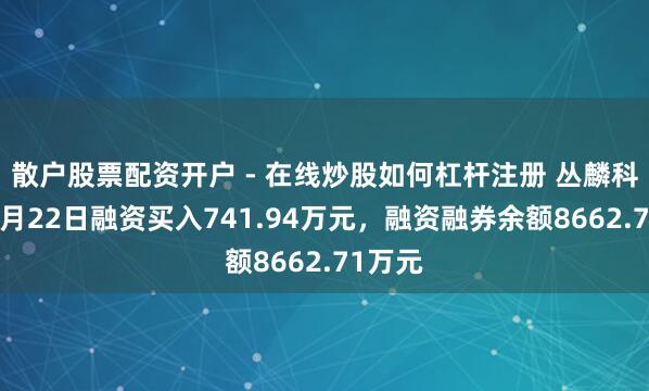 散户股票配资开户 - 在线炒股如何杠杆注册 丛麟科技：1月22日融资买入741.94万元，融资融券余额8662.71万元