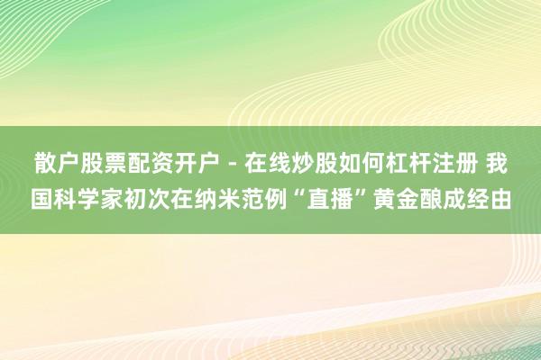散户股票配资开户 - 在线炒股如何杠杆注册 我国科学家初次在纳米范例“直播”黄金酿成经由