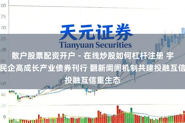 散户股票配资开户 - 在线炒股如何杠杆注册 宇宙首单民企高成长产业债券刊行 翻新阛阓机制共建投融互信重生态